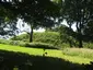 Castle Hall Hill motte and bailey castle