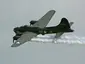 Sally B Sally B