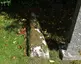 Logie Kirk Hogback 1