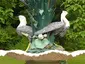 Malcolm Hay Memorial Fountain