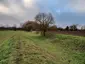 Ruxox Cell