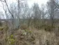 Bergstugan Bergstugan