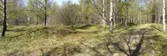 Mellanjärvsgravfältet Mellanjärvsgravfältet