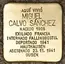 Miguel Calvo Sánchez