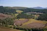 Colónia Agrícola da Boalhosa - núcleo de Vascões