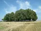 Cmentarz wojenny z I wojny światowej
