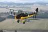 Tiger Moth Tiger Moth