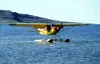 Piper PA-18 Super Cub Piper PA-18 Super Cub