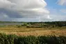 海泽比 海泽比