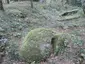 Großsteingrab Groß Thondorf 1