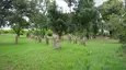 Historischer Jüdischer Friedhof Grünstadt