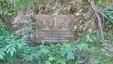 Alois Brutscher, Fridolin Amann