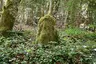 Herrschafts- und Besitzgrenzsteine des Klosters Königsbronn Herrschafts- und Besitzgrenzsteine des Klosters Königsbronn
