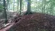Schanzenberg (Granitz)