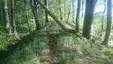 Wall auf der Halbinsel Thiessow