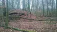 Schlossberg (Werder)