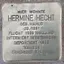Hermine Hecht Hermine Hecht