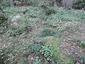 Großsteingrab Gienau 4 Großsteingrab Gienau 4