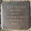 Elsa Salomon