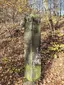 Signpost stone in Königstein (Saxon Switzerland) Signpost stone in Königstein (Saxon Switzerland)