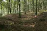 Ringwall Buchberg Ringwall Buchberg