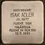 Isak Adler