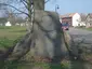 Denkmal zur 100-jährigen Wiederkehr der Befreiungskriege in Großkoschen
