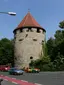 Bürgergehorsam