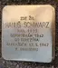 Hanus Schwarz