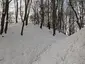 Hradiště Zámčisko Hradiště Zámčisko