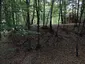 Zamčiska Zamčiska