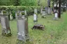 Jüdischer Friedhof Philippsburg