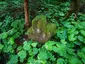 Penitence cross 1953