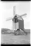 Bockwindmühle aus Algermissen