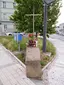 Cross at Zenklova street