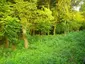 馬場小室山遺跡