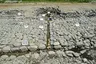 Asuka Pond Garden Site Asuka Pond Garden Site
