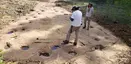 West Gold Hill Dinosaur Trackway