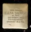 Helena Salmang