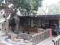 Plum Garden
