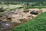 Fuente de Lavapatas
