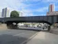 Ponte Preta