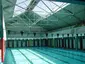 Spring Hill Baths