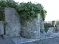 Remains of Plymouth Castle