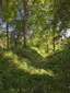 Roundwood Fort