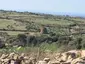 Nuraghe Abbauddi