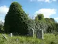 Blanchvilletown Church Ruin
