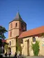 BÜZ BÜZ