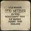 Otto Metzger
