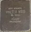 Walter Voss